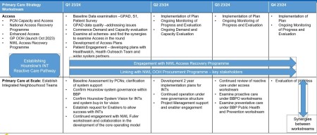 Primary care strategy visual.jpg